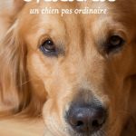 Chadna un chien pas ordinaire