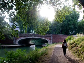 les ponts de Toulouse