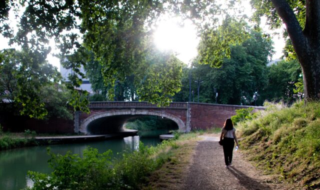 les ponts de Toulouse