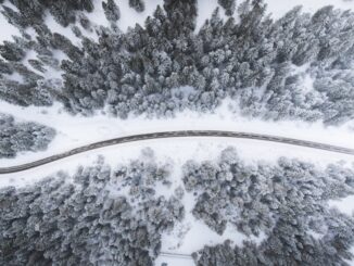 Routes forêts enneigées