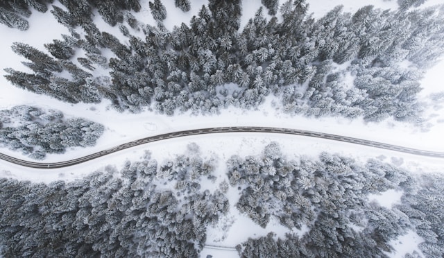 Routes forêts enneigées