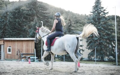 cours d'équitation