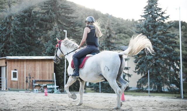 cours d'équitation cours d'équitation