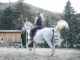 cours d'équitation