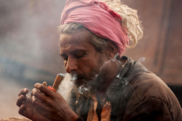 santé des senior